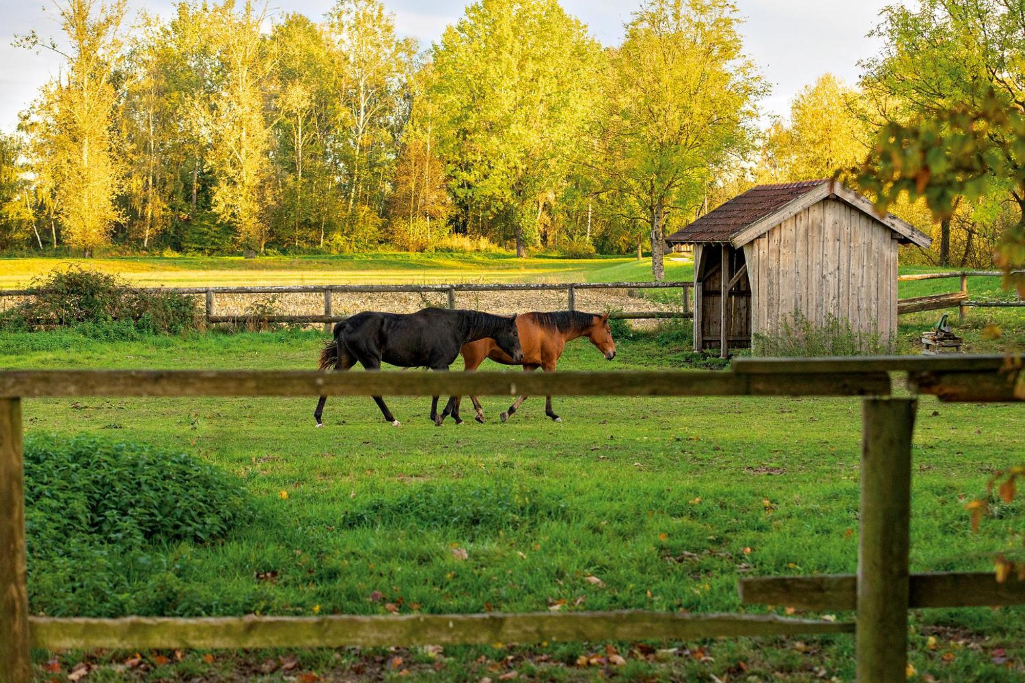 Chalet An Der Brunnader - Ihr Perfekter Rueckzugsort In Der Bayerischen Toskana Bad Birnbach Dış mekan fotoğraf